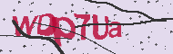 Code captcha