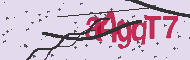 Code captcha